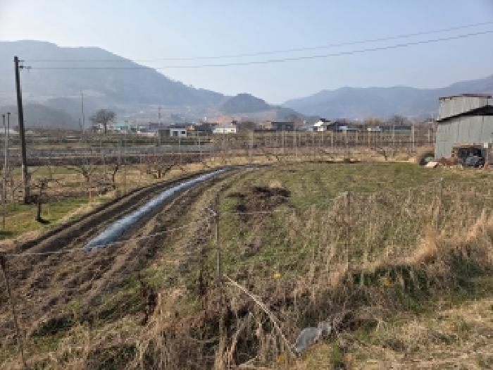 순천지원 2026타경50277-1 사진