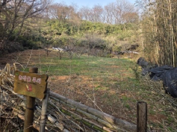 순천지원 2026타경50389-1 사진