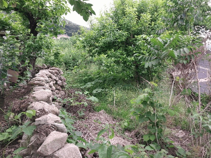순천지원 2026타경50667-1 사진
