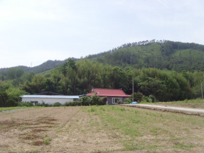 해남지원 2023타경52331-2 사진