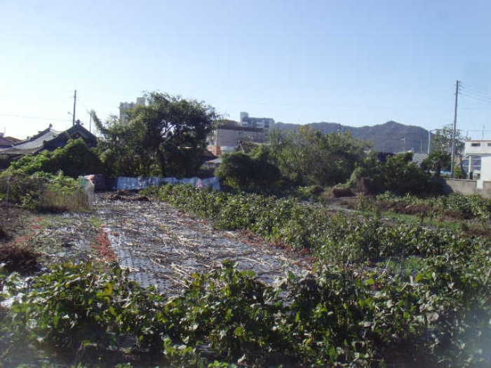해남지원 2024타경2098-1 사진