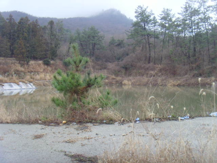 해남지원 2024타경50790-1 사진