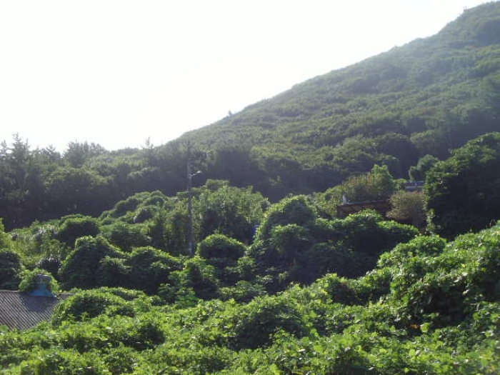 해남지원 2024타경54068-3 사진