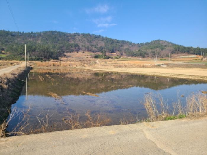 해남지원 2025타경716-1 사진
