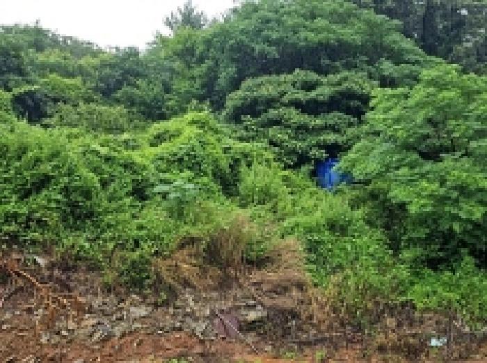 해남지원 2025타경1382-1 사진