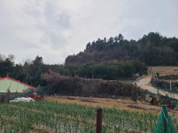 해남지원 2025타경50349-1 사진
