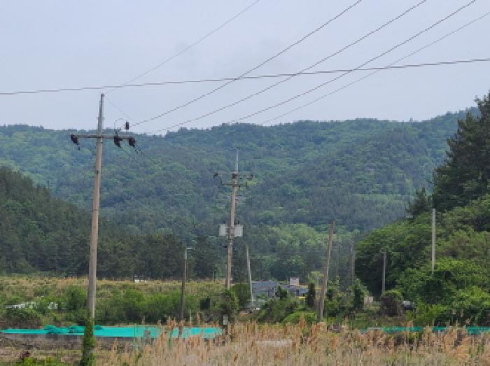해남지원 2025타경50458-1 사진