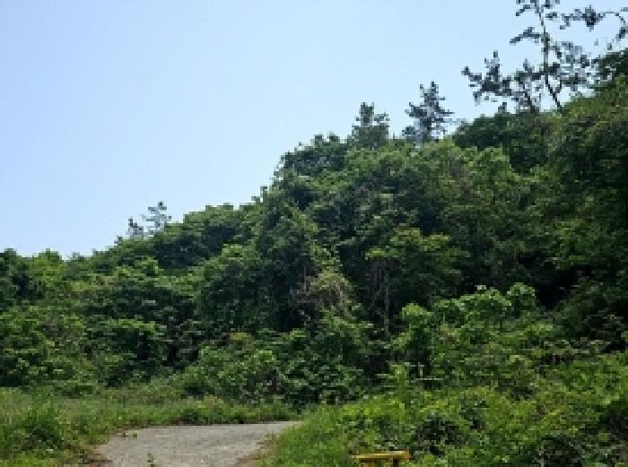 해남지원 2025타경50468-2 사진