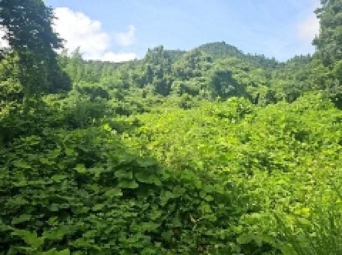 해남지원 2025타경50573-1 사진