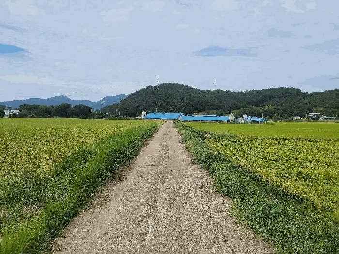해남지원 2025타경50632-1 사진