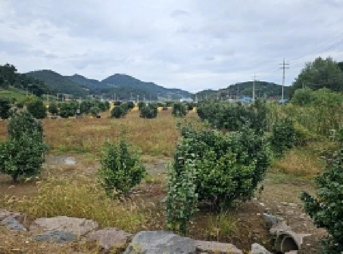 해남지원 2025타경50655-1 사진