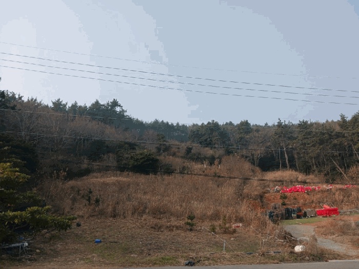 해남지원 2025타경50766-1 사진