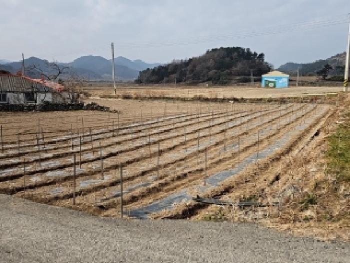 해남지원 2026타경1010-3 사진