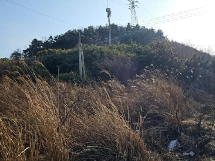해남지원 2026타경1015-1 사진