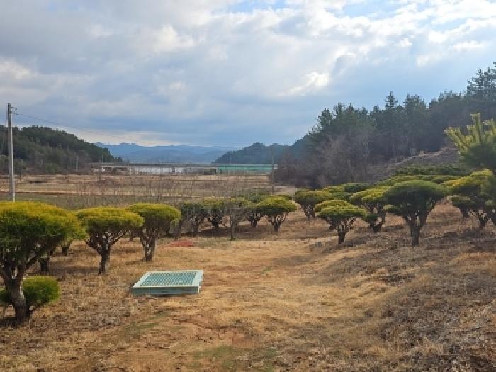 해남지원 2026타경50047-1 사진
