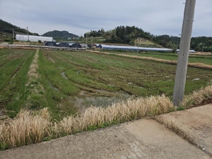 해남지원 2026타경50118-1 사진