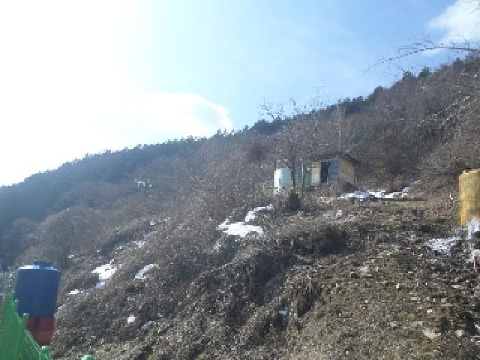 전주지법 2025타경538-3 사진