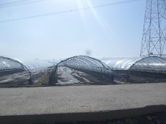 전주지법 2025타경696-1 사진