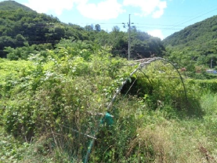전주지법 2025타경799-1 사진