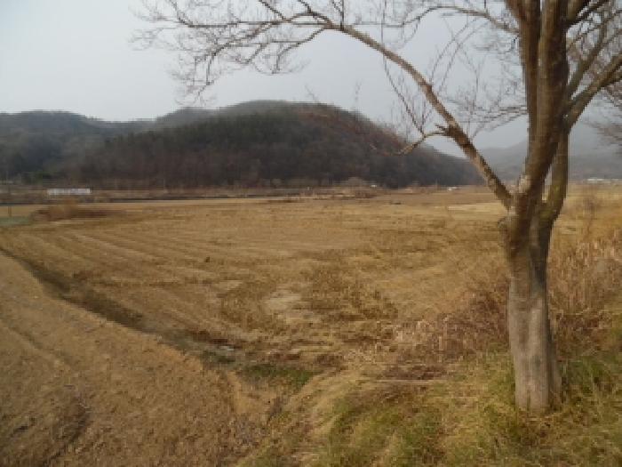 전주지법 2025타경1114-1 사진