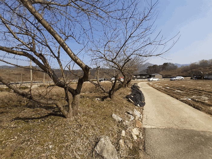 전주지법 2025타경31021-4 사진