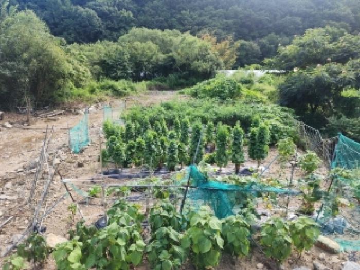 전주지법 2025타경31561-1 사진