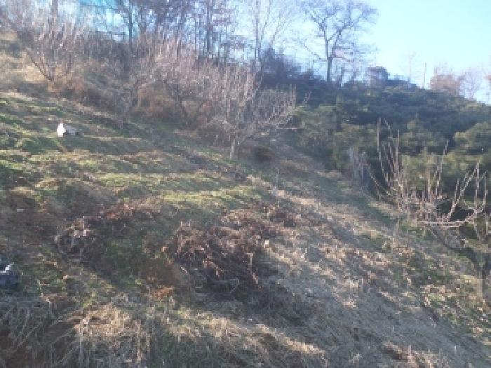 전주지법 2025타경32089-1 사진