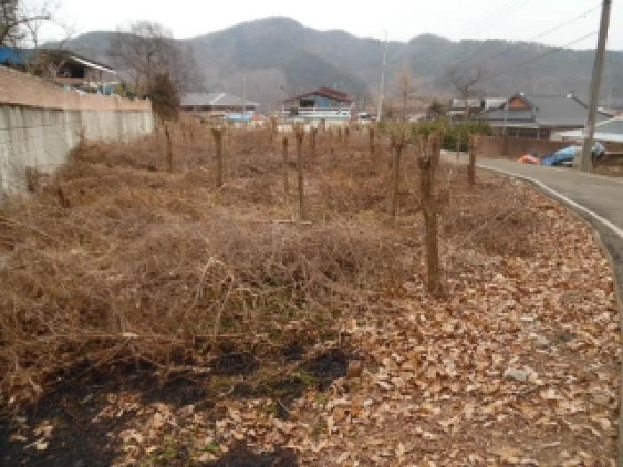 전주지법 2026타경30010-1 사진