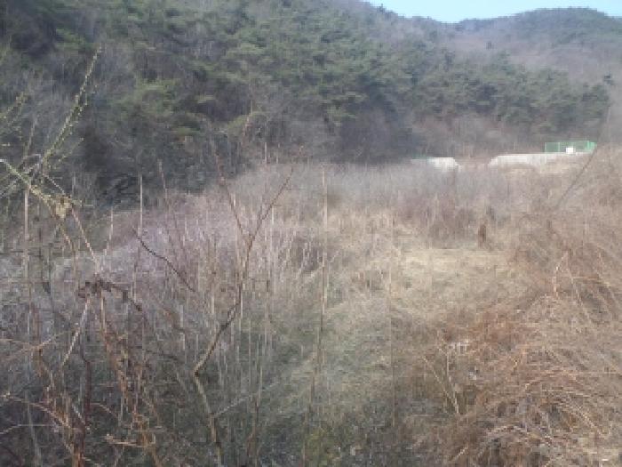 전주지법 2026타경30219-1 사진