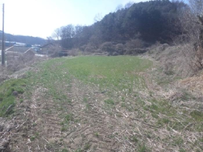 전주지법 2026타경30258-1 사진