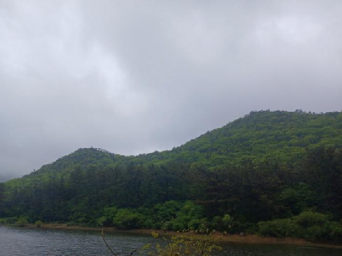 군산지원 2025타경382-1 사진