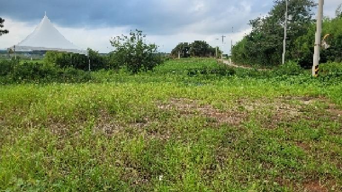군산지원 2025타경509-1 사진