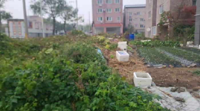 군산지원 2025타경596-1 사진