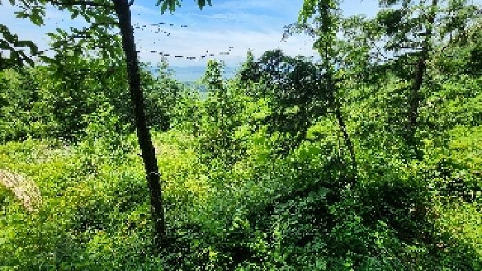군산지원 2025타경21038-1 사진