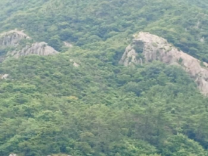 군산지원 2025타경21097-1 사진