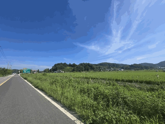 군산지원 2025타경21262-1 사진