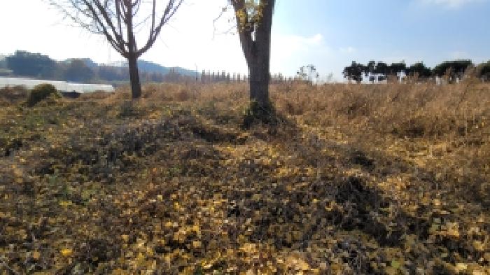 군산지원 2025타경21526-2 사진