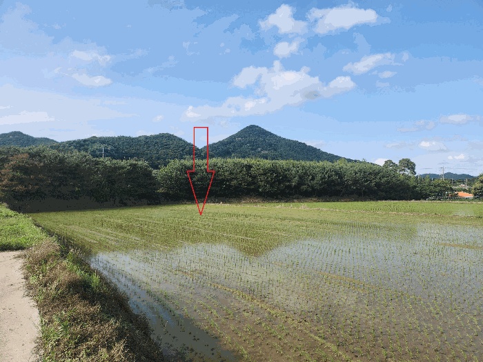 정읍지원 2025타경30291-1 사진