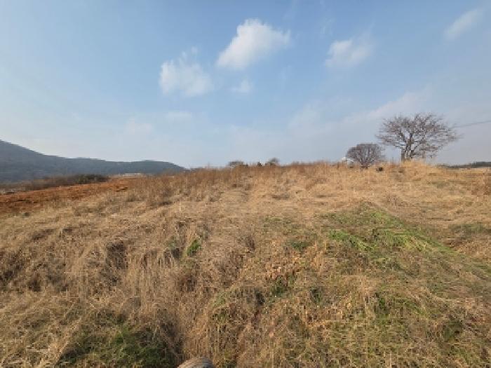 정읍지원 2025타경30543-1 사진
