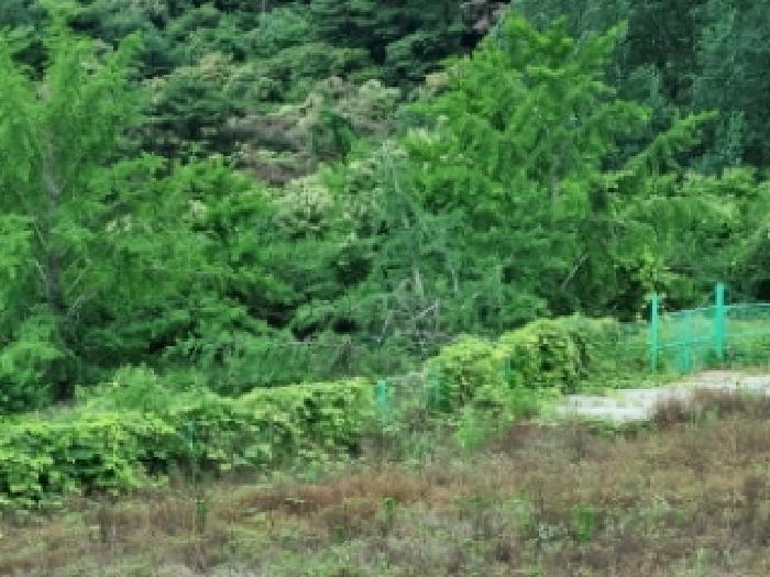 남원지원 2025타경30187-2 사진