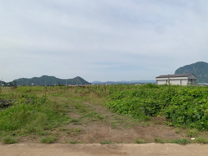 제주지법 2024타경6153-1 사진
