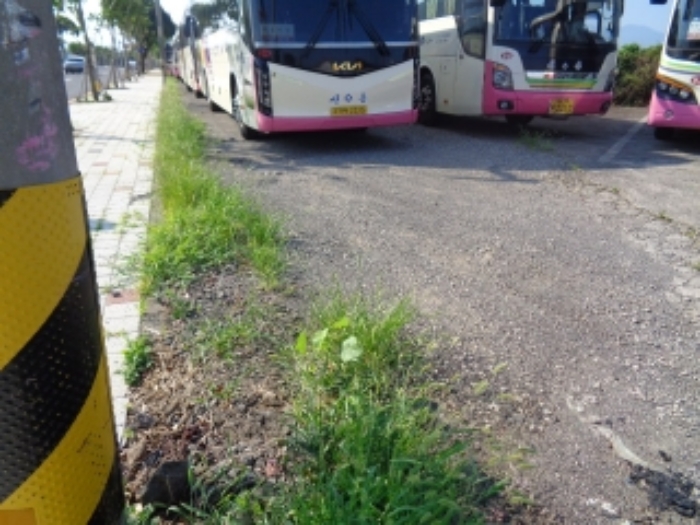 제주지법 2024타경7750-3 사진