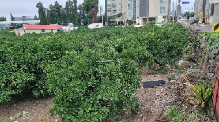제주지법 2025타경8341-2 사진