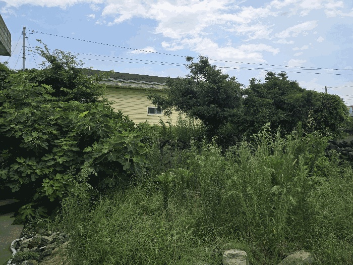 2025타경8484-1 사진