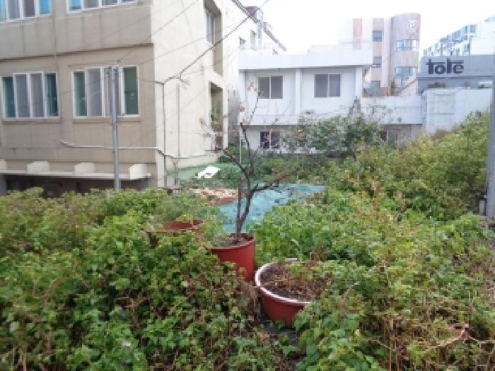 제주지법 2025타경9134-1 사진