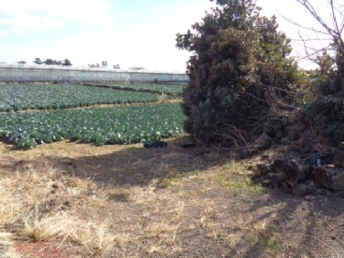 제주지법 2025타경9362-1 사진