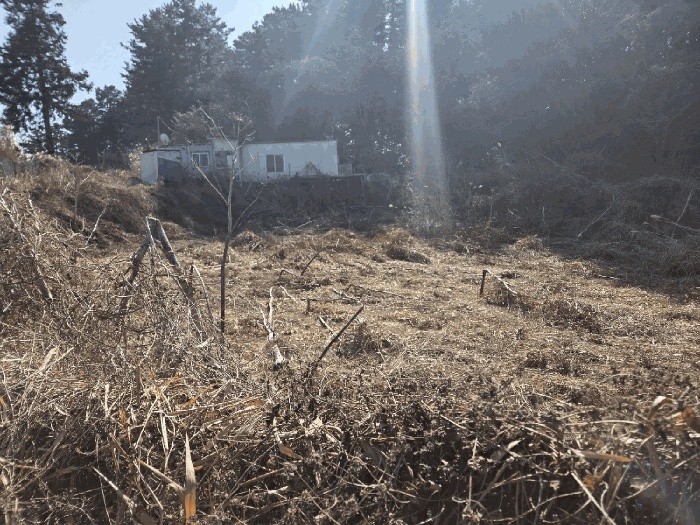 제주지법 2026타경10133-1 사진