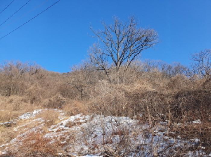 남양주지원 2025타경218-1 사진