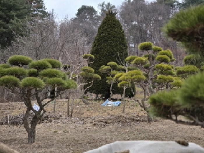 남양주지원 2025타경71245-1 사진