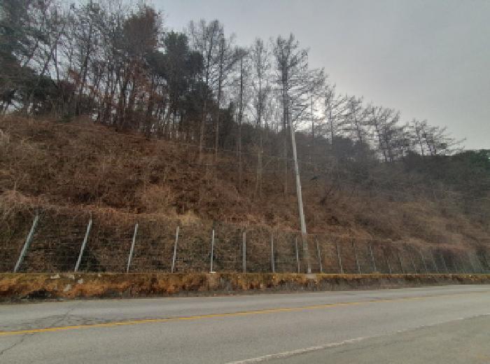 남양주지원 2025타경71342-1 사진